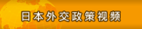 政策